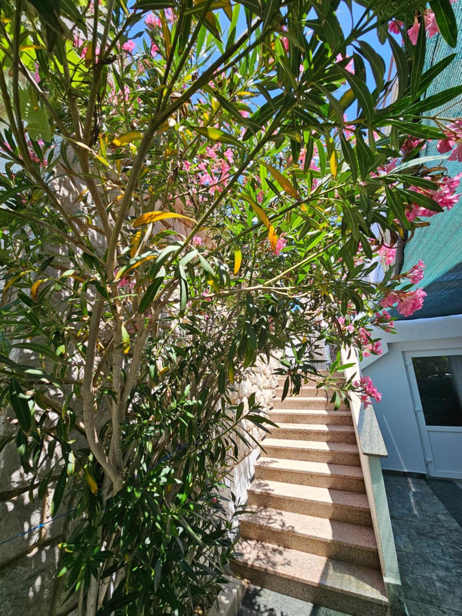 Apartments Bahar Krk Krk Town Dış mekan fotoğraf